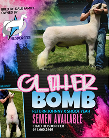 Glitter Bomb
