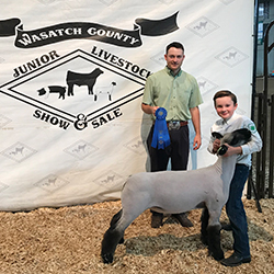 Owens Show Lambs Winners