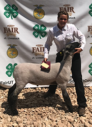 owens Show Lambs Winners