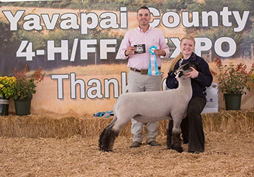 wens Show Lambs Winners