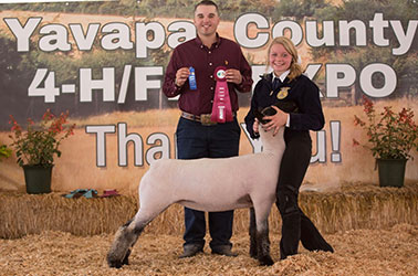 Owens Show Lambs Winners
