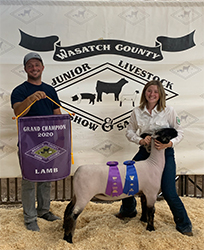 Owens Show Lambs Winners