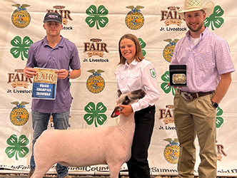 Owens Show Lambs Winners