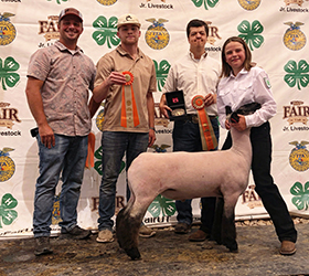 Owens Show Lambs Winners