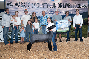Owens Show Lambs Winners