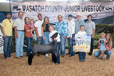 Owens Show Lambs Winners