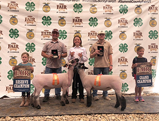 Owens Show Lambs Winners