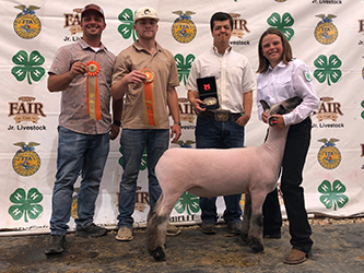 Owens Show Lambs Winners