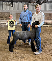 Owens Show Lambs Winnersw