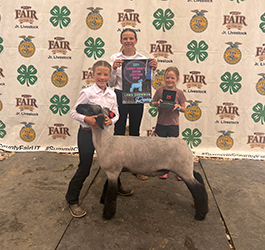 Owens Show Lambs Winners