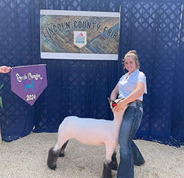 Owens Show Lambs Winners
