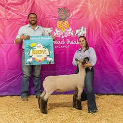 Owens Show Lambs Winners