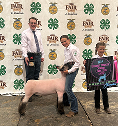 Owens Show Lambs Winners