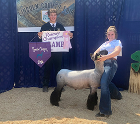 Owens Show Lambs Winners